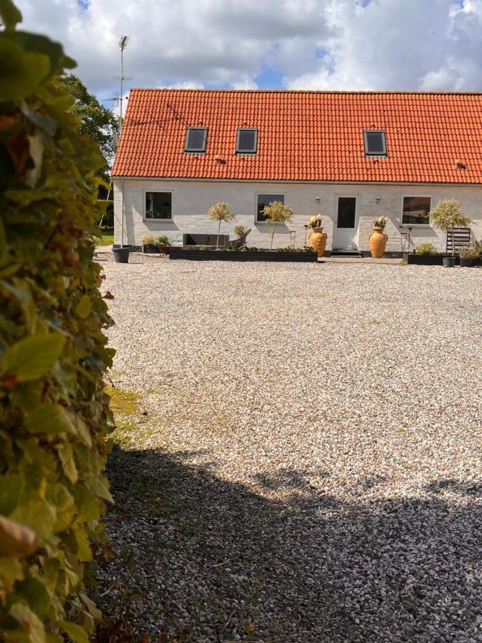 Munkgaard Inn & Outdoor 로드비그 외부 사진